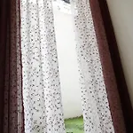 Amy House