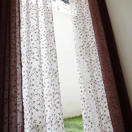 Amy House