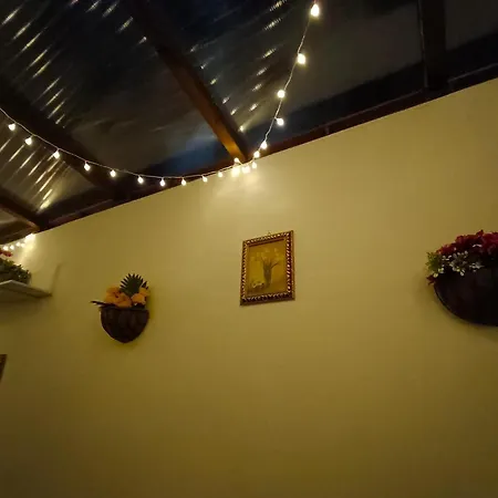 Amy House 公寓 巴勒莫